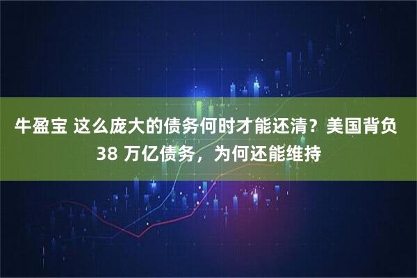 牛盈宝 这么庞大的债务何时才能还清？美国背负 38 万亿债务，为何还能维持