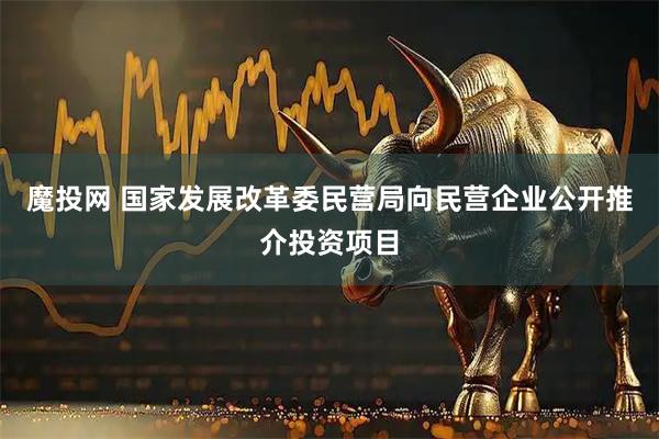 魔投网 国家发展改革委民营局向民营企业公开推介投资项目