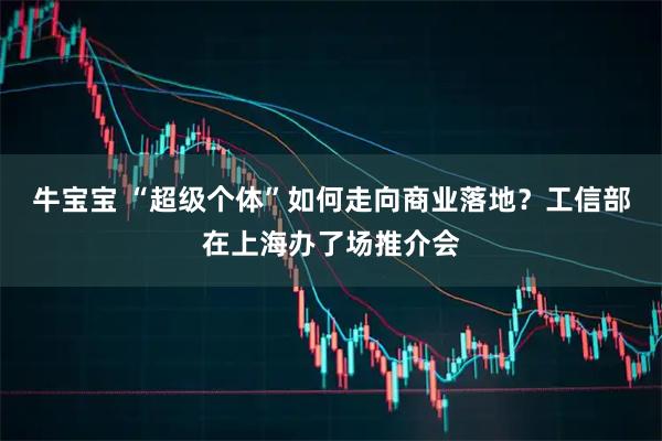 牛宝宝 “超级个体”如何走向商业落地？工信部在上海办了场推介会