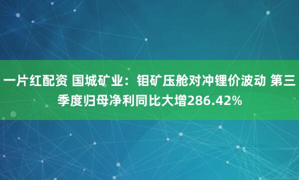 一片红配资 国城矿业：钼矿压舱对冲锂价波动 第三季度归母净利同比大增286.42%